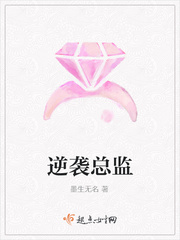 逆袭总监