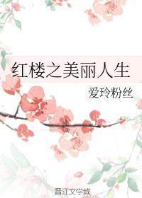 红楼之美丽人生