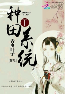 种田T系统
