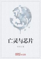 亡灵与芯片
