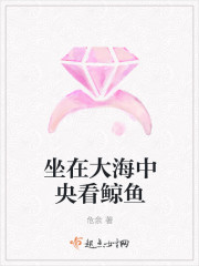 坐在大海中央看鲸鱼