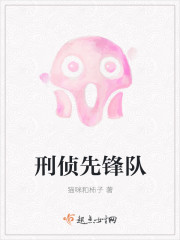刑侦先锋队