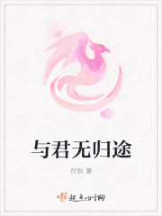 与君无归途