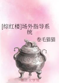 场外指导系统卷毛猫猫