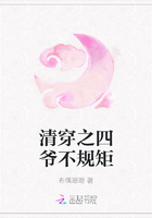 清穿之四爷不规矩