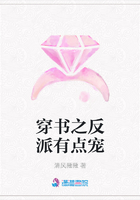 穿书之反派有点宠
