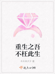 重生之吾不枉此生