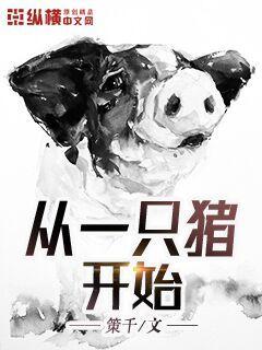 从一只猪开始