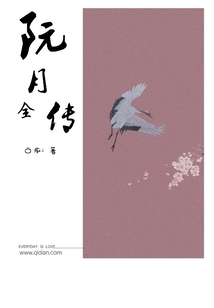 阮月全传