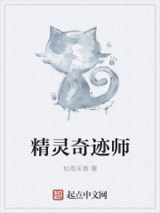 精灵奇迹师