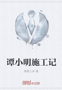 谭小明施工记
