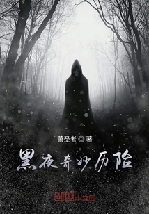 黑夜奇妙历险