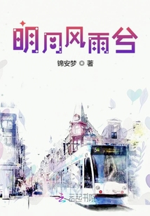 明月风雨兮