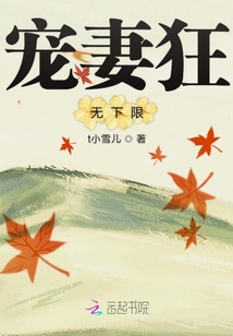 宠妻狂无下限