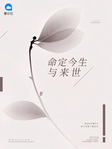 苏暮晚顾炎初