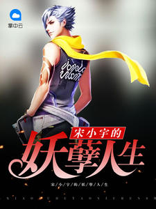 宋小宇李如夜