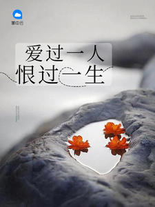 爱过一人恨过一生陆霆琛林向晚