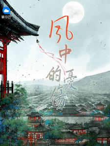 风中的忧伤夏琪江寂辰