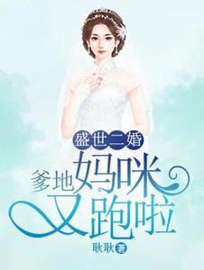 罪城小说