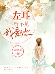林小兰王连山小说