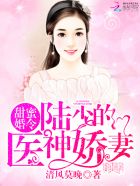 宗先生的追妻攻心计