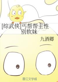 [综武侠]丐帮帮主性别软妹