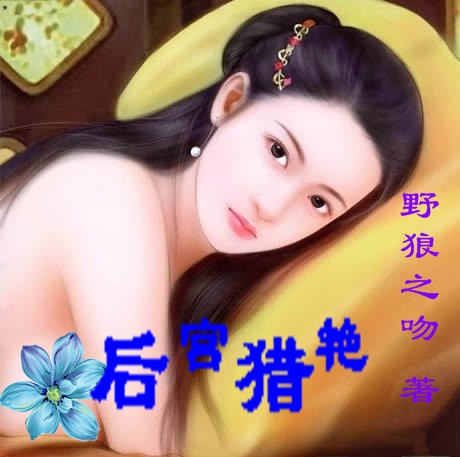 后宫猎艳