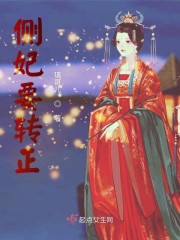 侧妃要转正