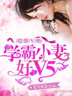甜婚天定：学霸小妻好V5