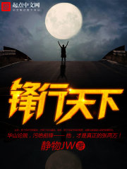 陆鸣陆瑶的小说叫啥名字