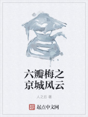 六瓣梅之京城风云