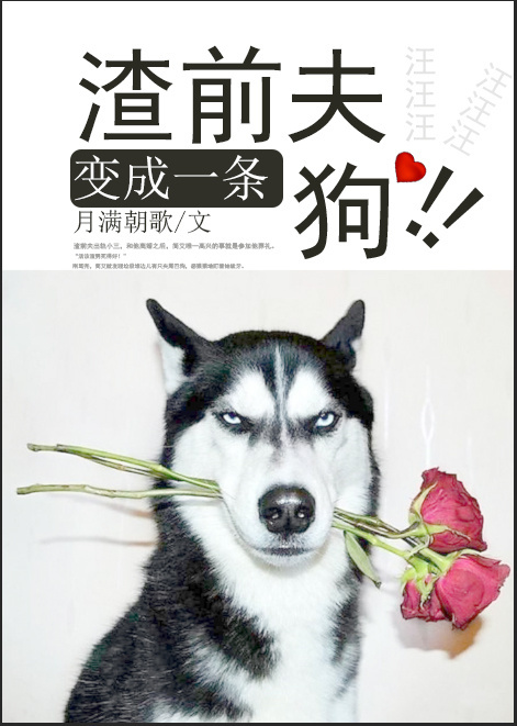 陈东阳林诗曼