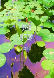 美归我财不归你