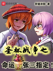 圣杯战争之命运张三指定