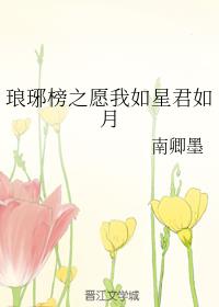 琅琊榜之愿我如星君如月