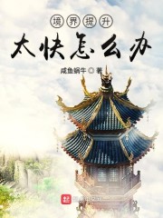 境界提升太快怎么办