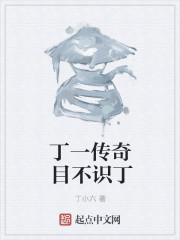 丁一传奇目不识丁