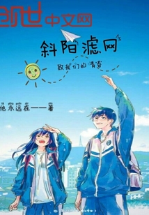 斜阳滤网