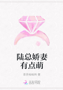 陆总娇妻有点萌
