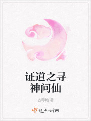 小说林风丁婉儿