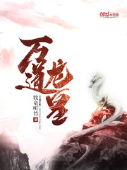 龙皇下凡巡查
