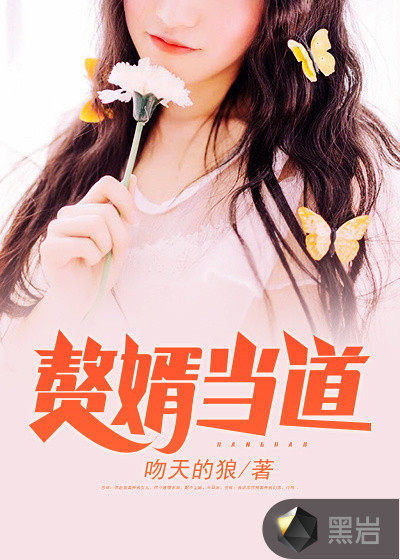 上门赘婿岳风小说