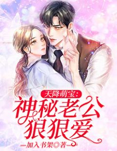 陆若锦南夜琛