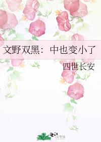 文野双黑：中也变小了