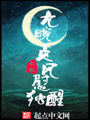 赘婿神王