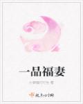 精灵之王者训练家