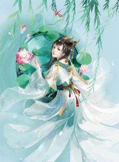 月华瑾百里辰风
