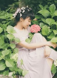 战帝方天翼