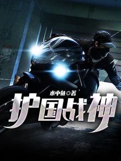 大夏唯一五星将军