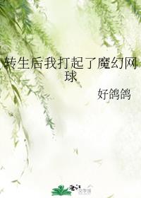 转生后我打起了魔幻网球
